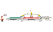 Мостовой станок для резки камня с ЧПУ SHENGDA WS-CNC-5-600L